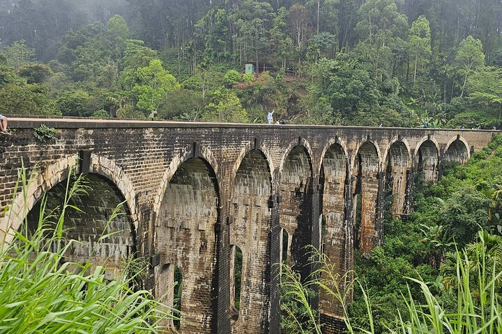 Ella Train Trip & Udawalawa Private Day Tour Bentota/Kosgoda - Photo 1 of 6